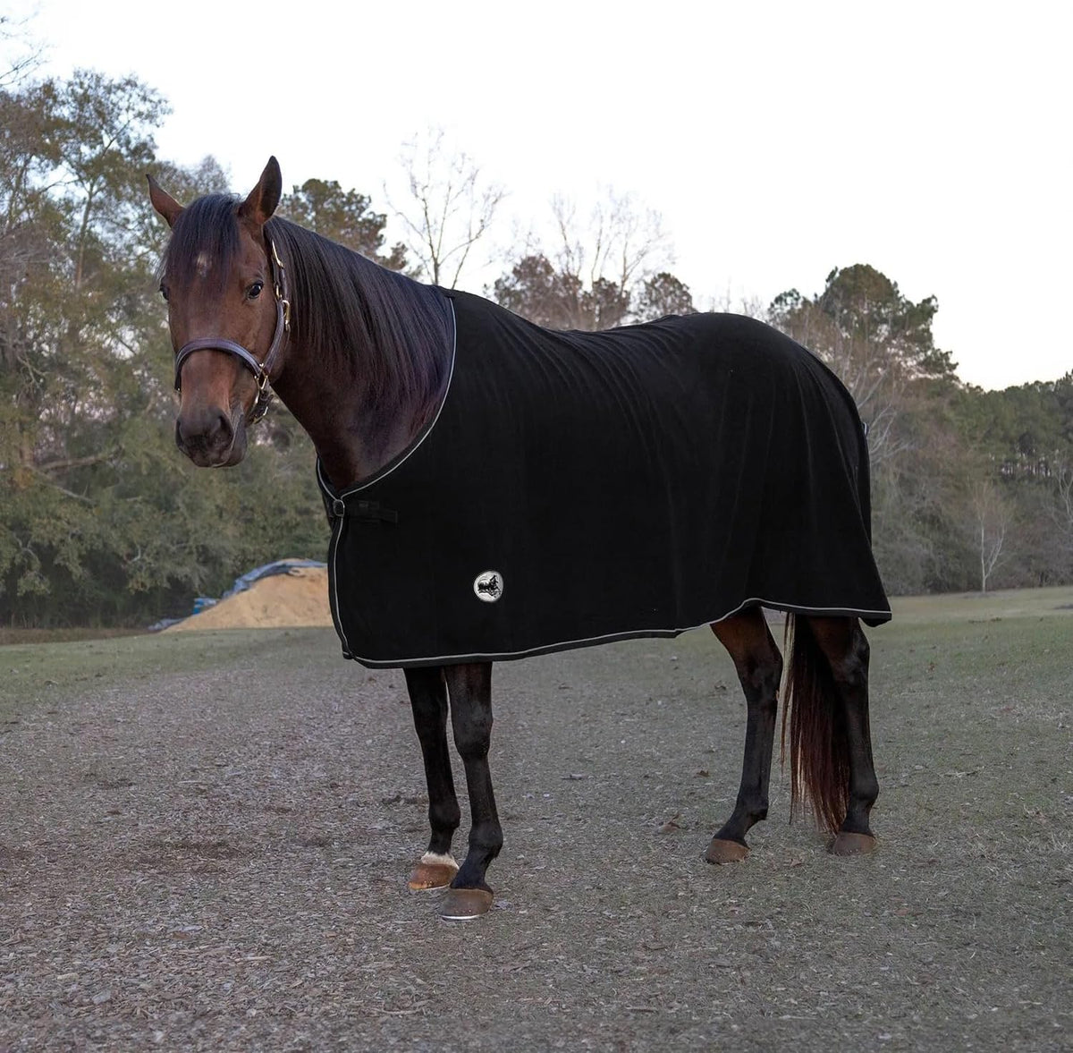 Elite Fleece Cooler Blanket for Horses, 78" – Contoured Moisture Wicking Horse Cooler, Lightweight Breathable Fleece