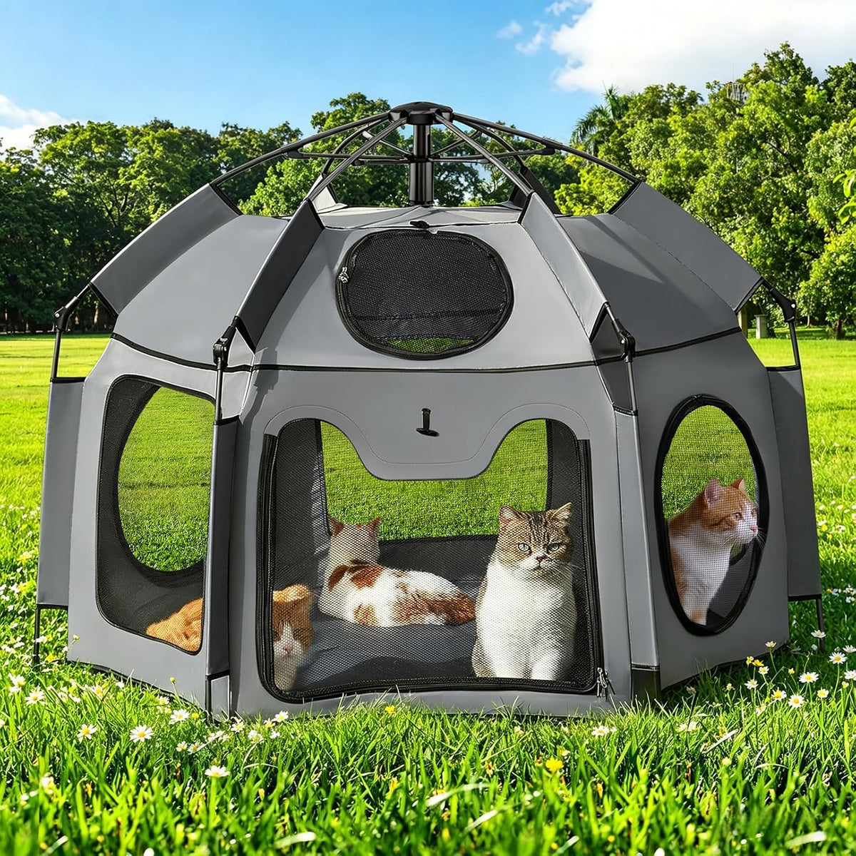 Catio Outdoor Cat Enclosure, Rywell 55” Extra Large Catio Pop Up Indoor Outdoor, Portable Cat Playpen Weatherproof
