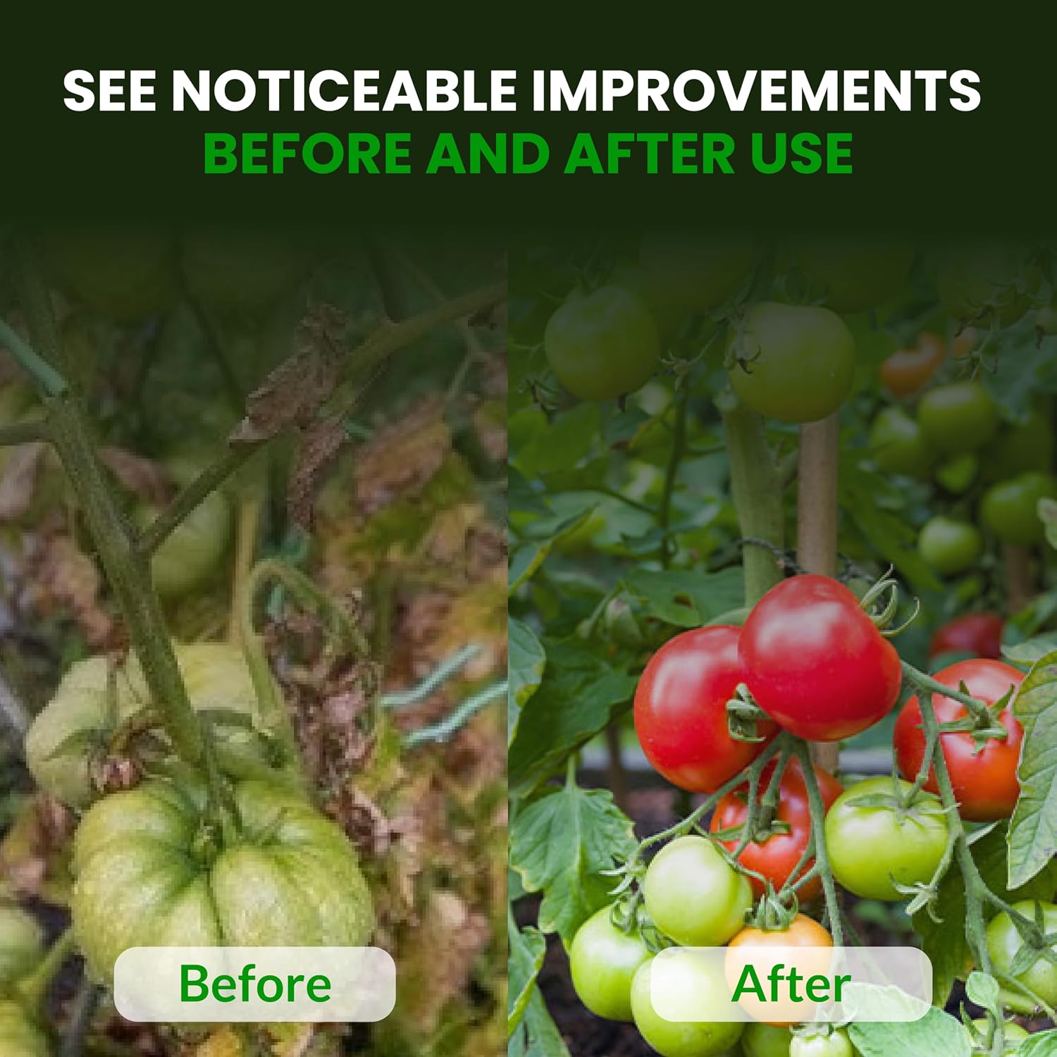 pH Up for Plants | Hydroponics and Soil pH Adjustment | Concentrated Potassium Hydroxide Formula | Raises Nutrient