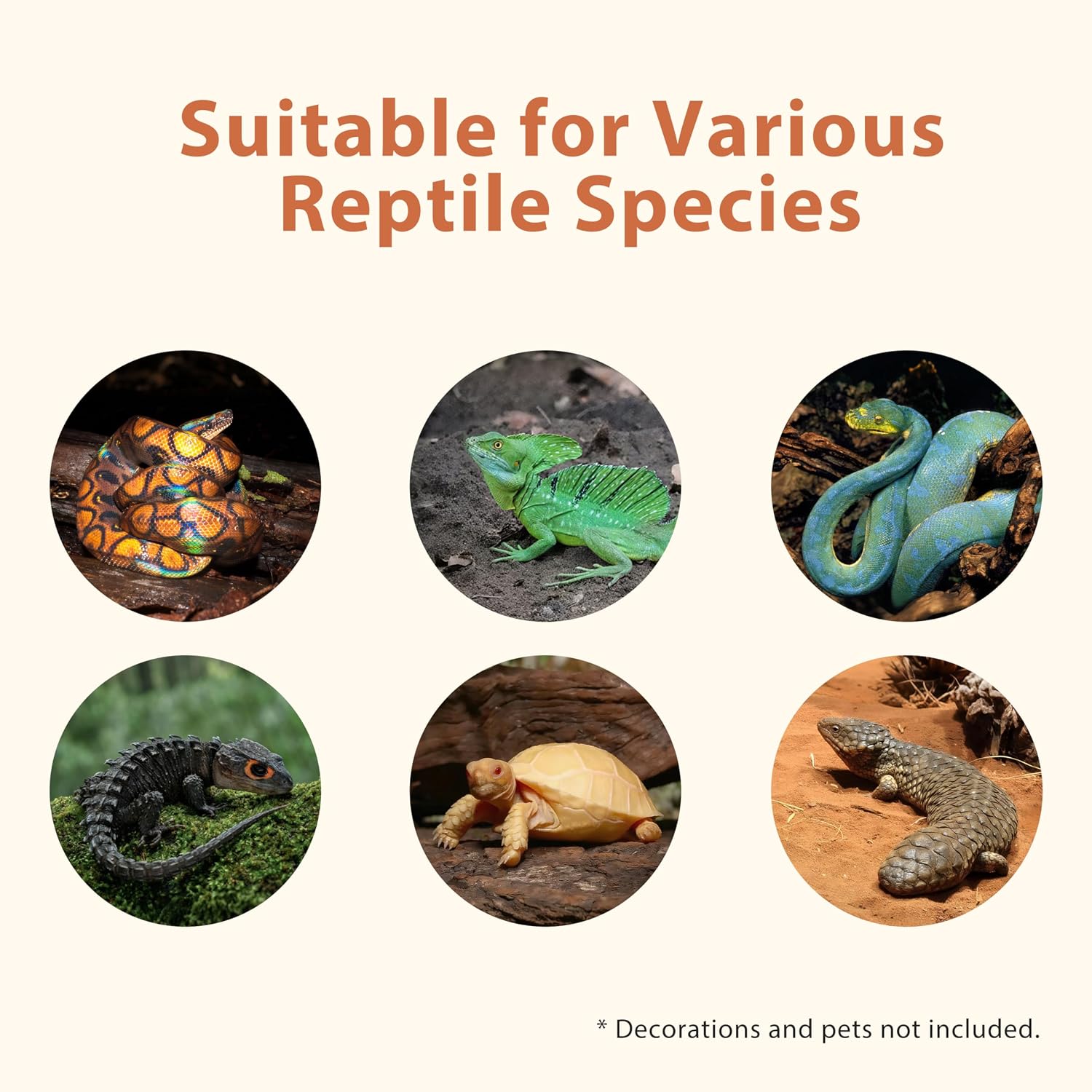 20 Gallon PVC Reptile Enclosure, RepWild 30"x12"x12" Terrarium/Tank with Heavy-Duty Screen Top, Glass Sliding Doors &