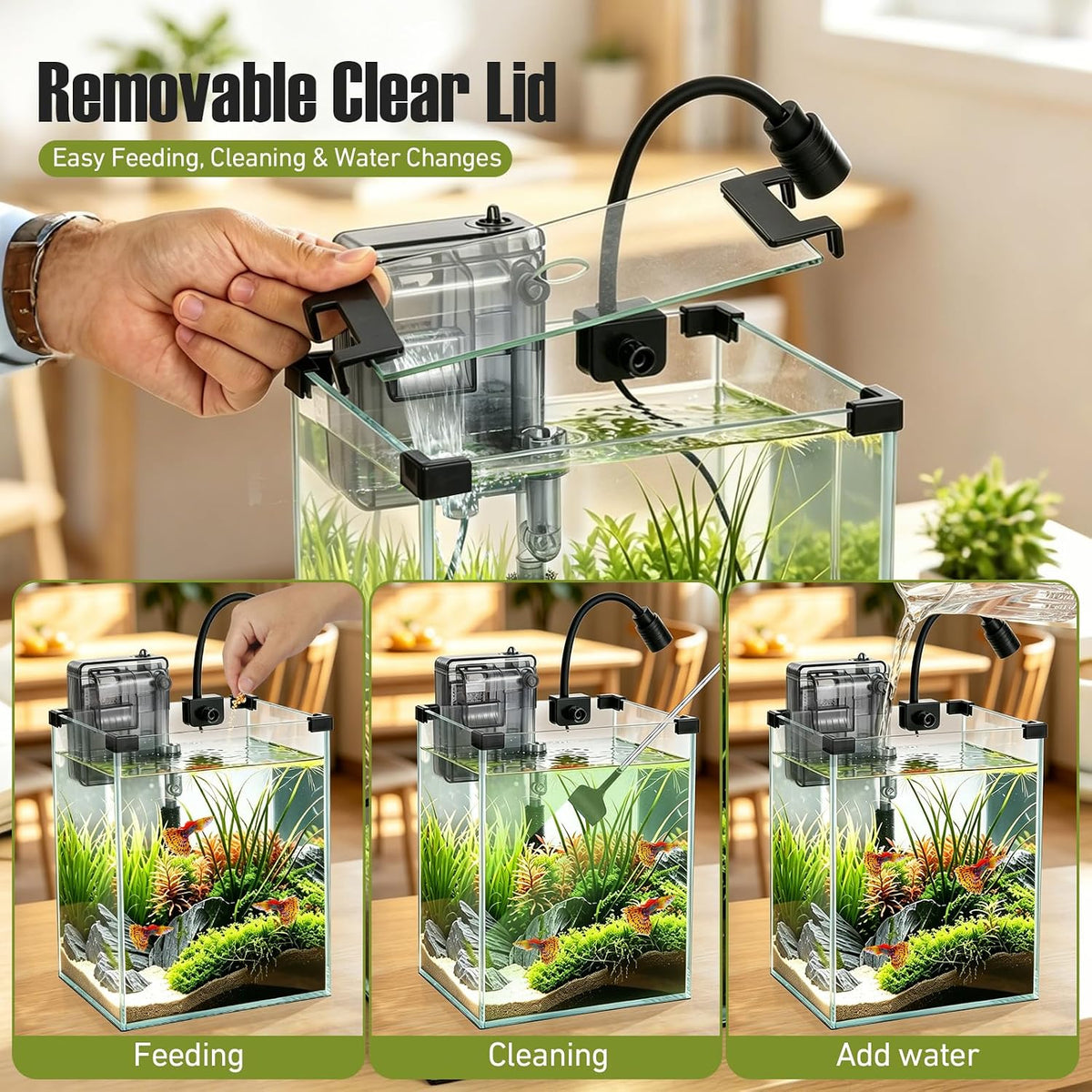 2.2 Gallon Small Glass Fish Tank Kit