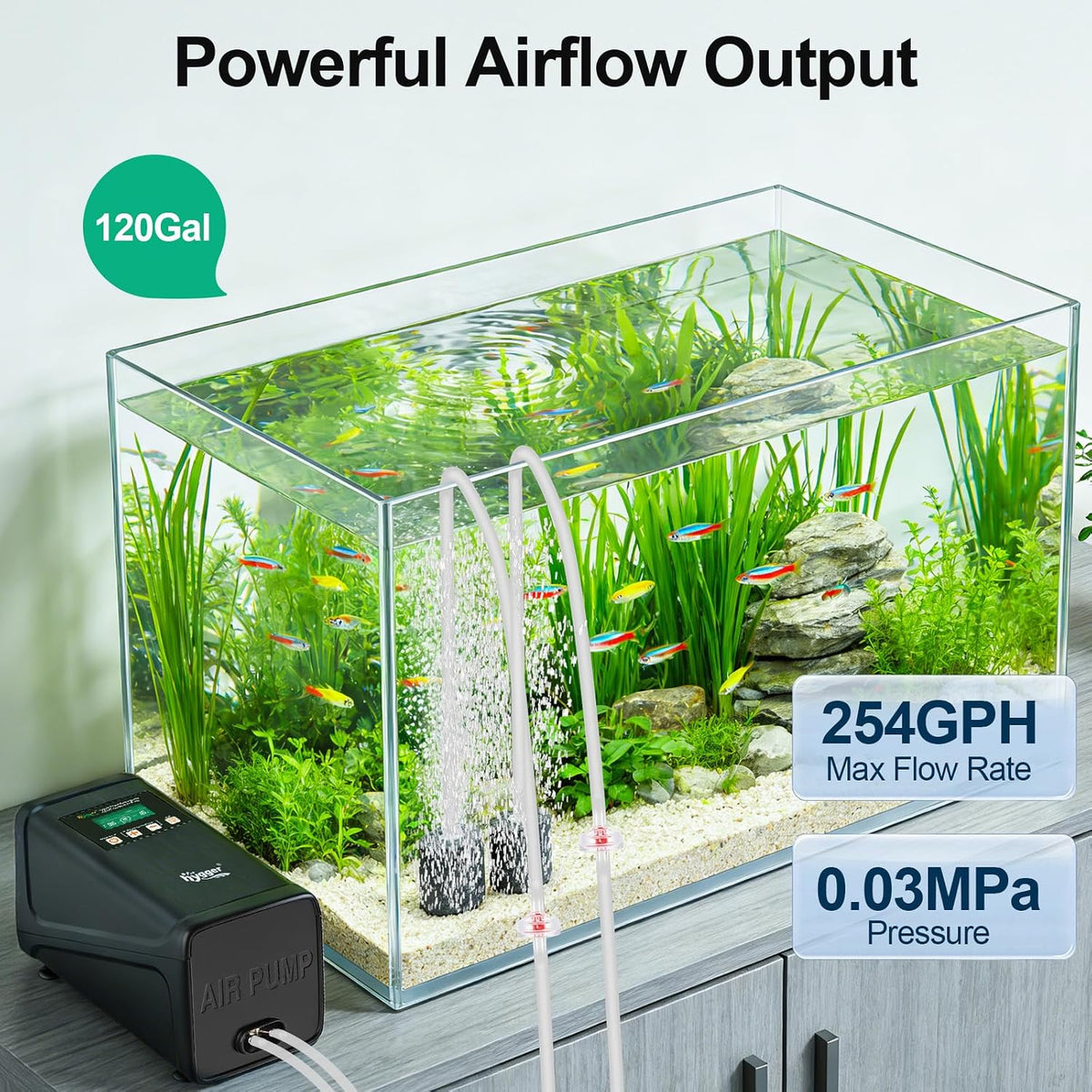 Battery Backup Aquarium Air Pump, Rechargeable Dual-Outlet Fish Tank Oxygen Pump, Quiet Portable Aerator for Outdoor