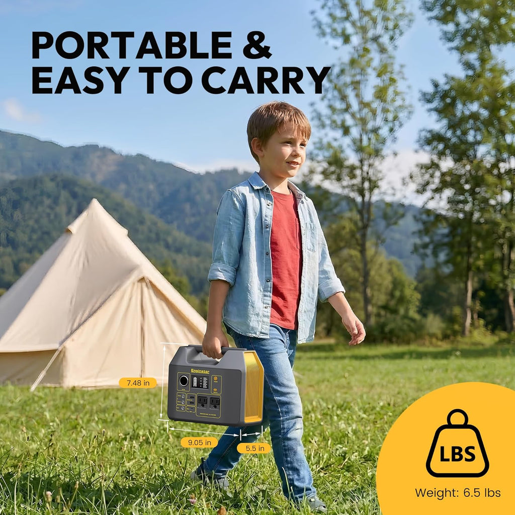 Portable Power Station,300W Solar Generator, 110V 296Wh Power Bank Two Pure Sine Wave AC Outlet 80000mAh Lithium