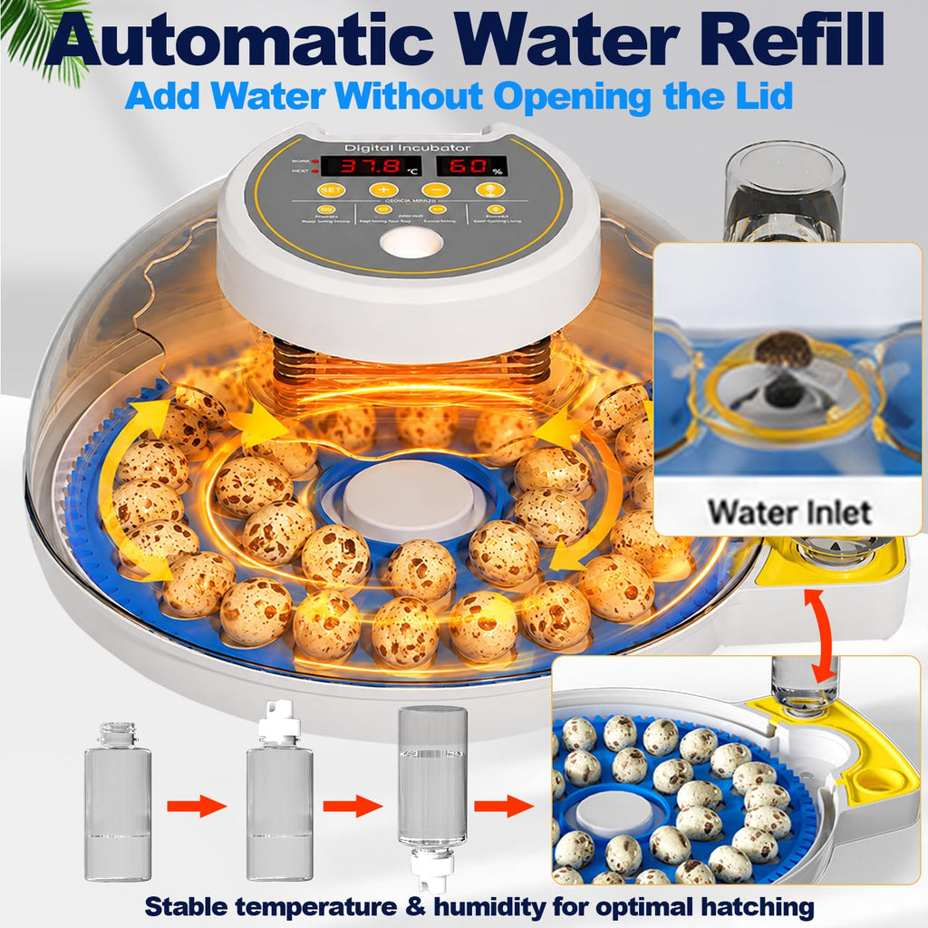 32 Quail Egg Incubator for Hatching Eggs, Dual Power Supply, Automatic Egg Turner, Humidity & Temperature Monitor
