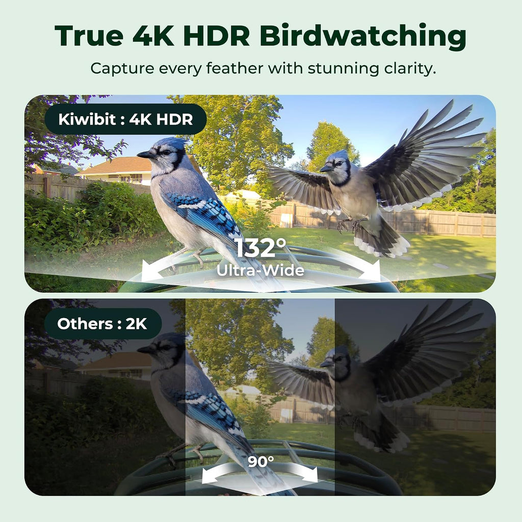 Bird Feeder with Camera 4K, Solar Powered, 8MP Photos, Smart AI ID
