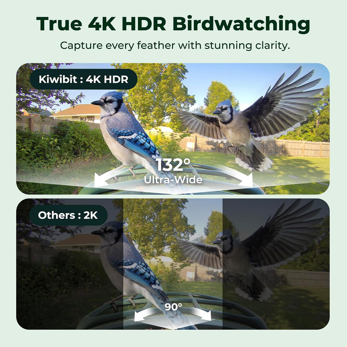 Bird Feeder with Camera 4K, Solar Powered, 8MP Photos, Smart AI ID
