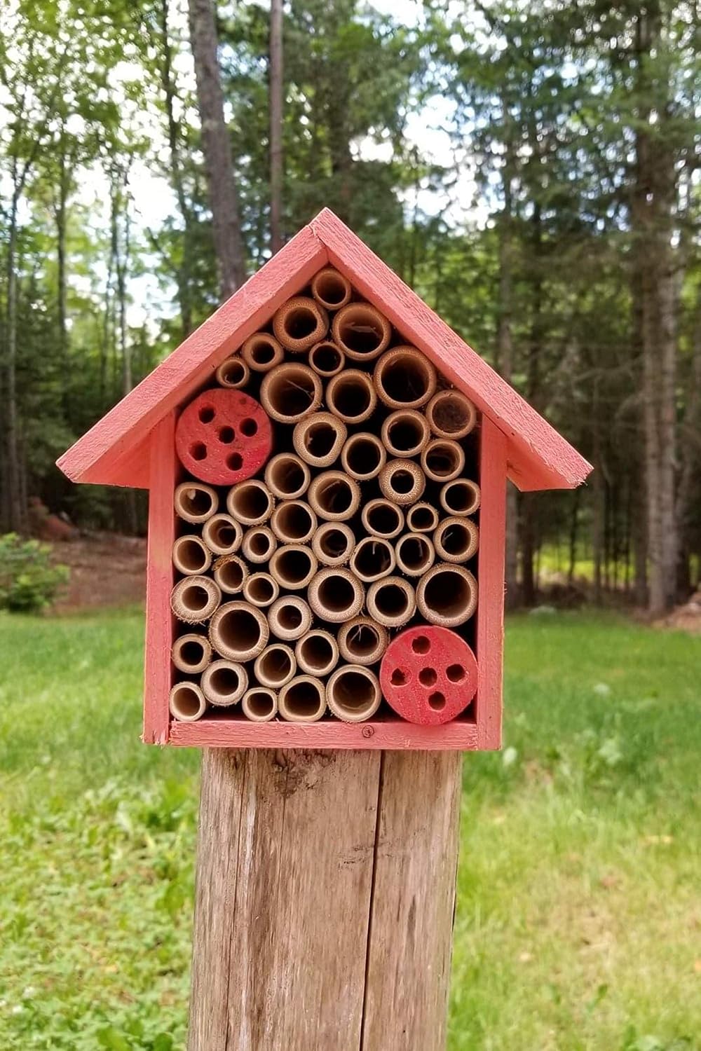 Mason Bee House Bamboo Tube Solitary Bee Hotel – 75 FSC‑Wood & Bamboo Tubes, 8 × 7.5 × 5 in, Rose Pink