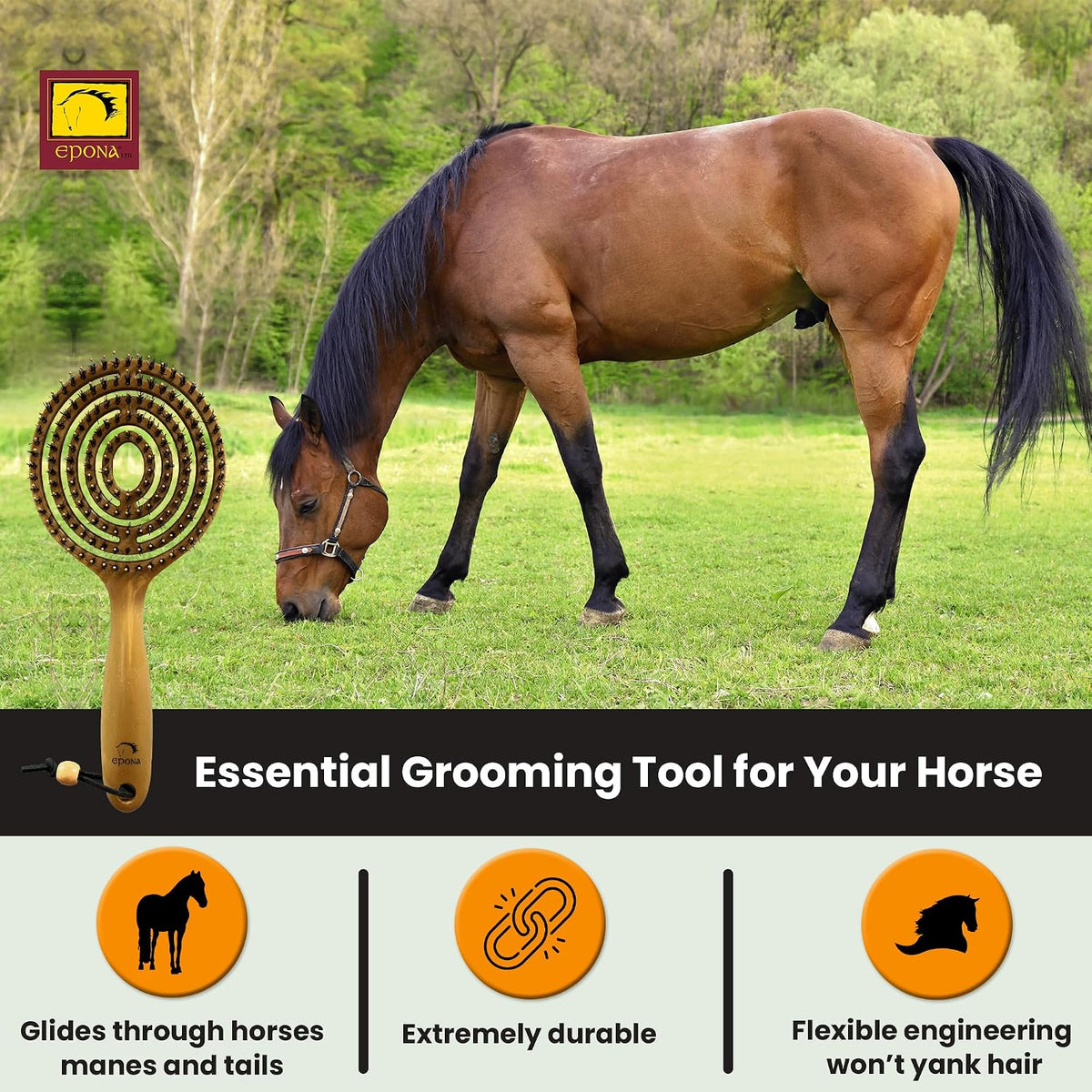 Queens Mane & Tail Brush