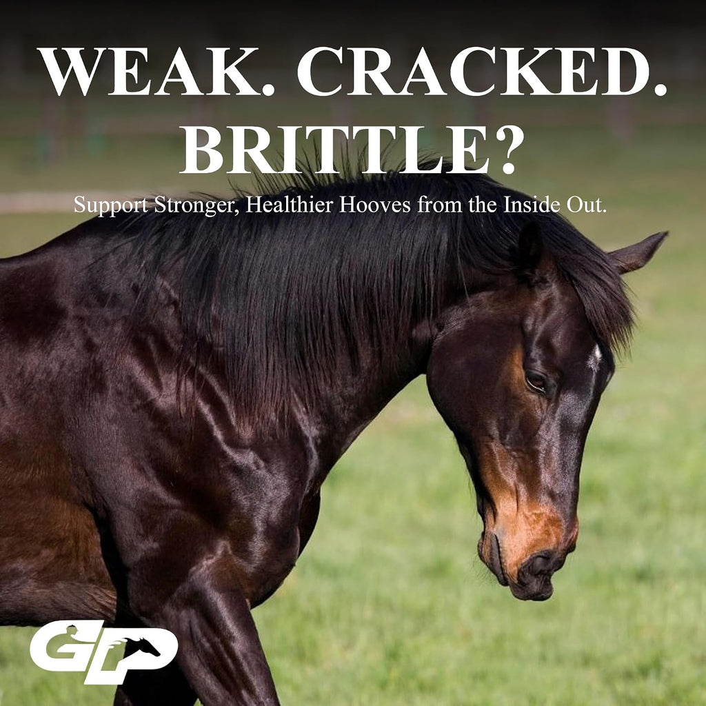 Hoof Supplement for Horses