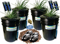 The Atwater HydroPod - Dual DWC Deep Water Culture/Recirculating Drip Hydroponic Garden System - Bubble Bucket