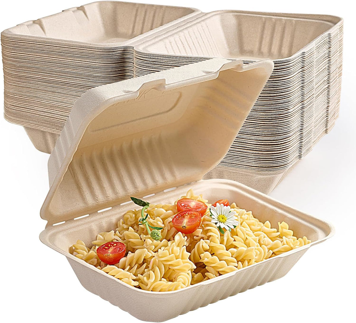 500 Pack Compostable Clamshell Take Out Food Containers, 9x6 inch