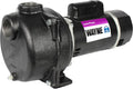 Wayne WLS200 2 HP Cast Iron High Volume Lawn Sprinkling Pump, 2-Horsepower, Green