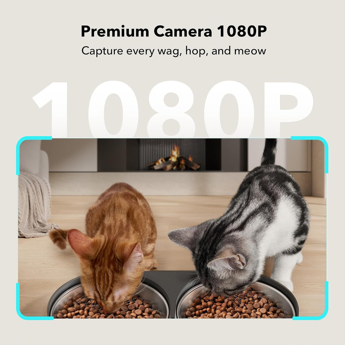 Automatic Cat Feeder with Camera for Two Cats, 1080P HD Video with Night Vision, 5G WiFi Pet Feeder with 2-Way Audio
