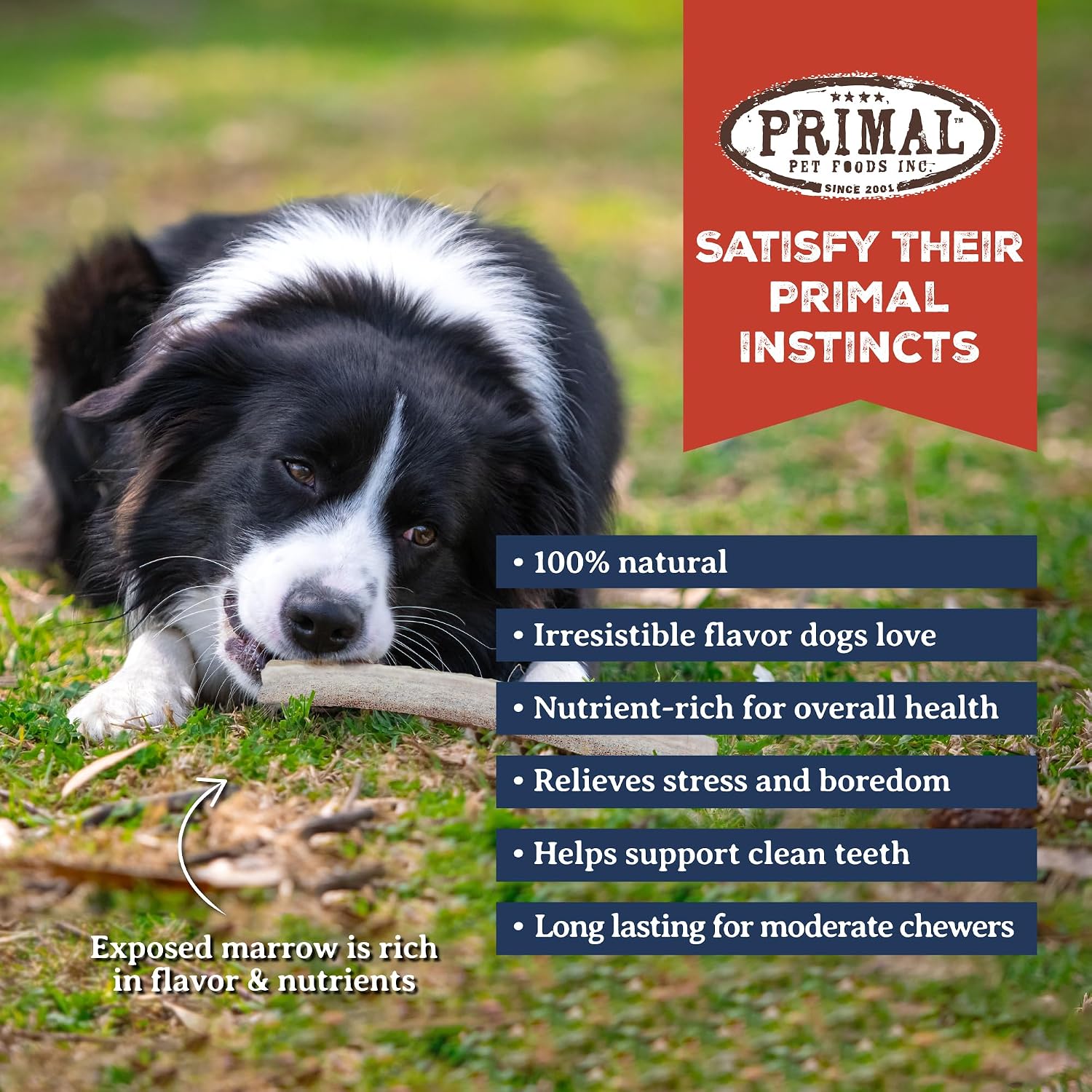 Primal Antlers for Dogs, Grade A Split Elk Antlers for Large Canines 30-45 lb, Natural Chews for Aggressive Chewers