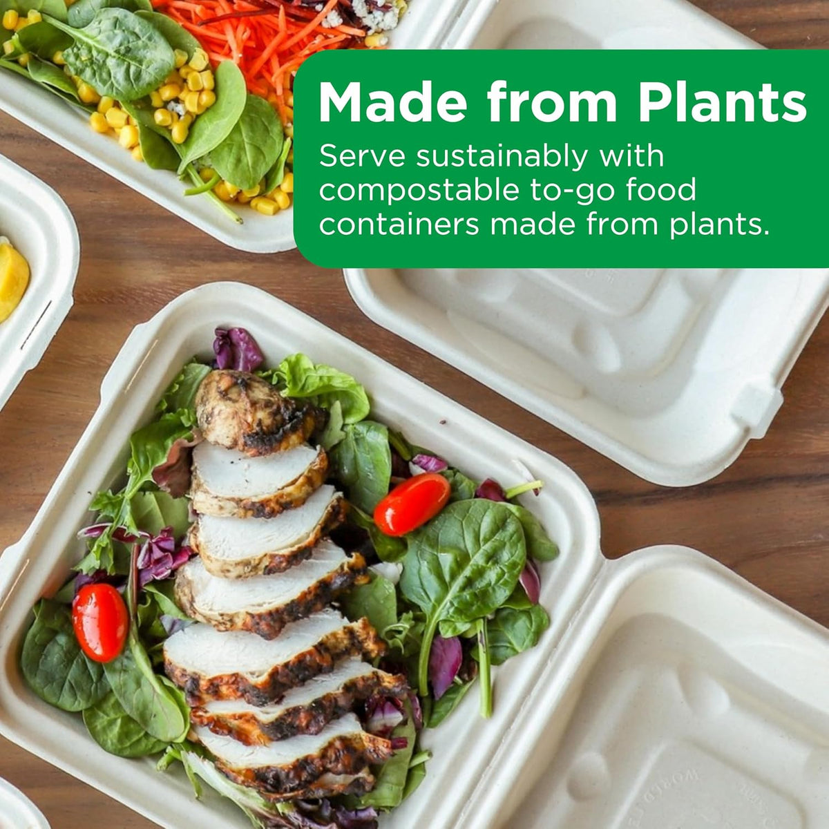 Compostable Clamshell Containers, 9x9x3 (Pack of 100)