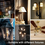 12 Pack Edison LED Light Bulbs, E26 Base, 8W 2700K, Dimmable