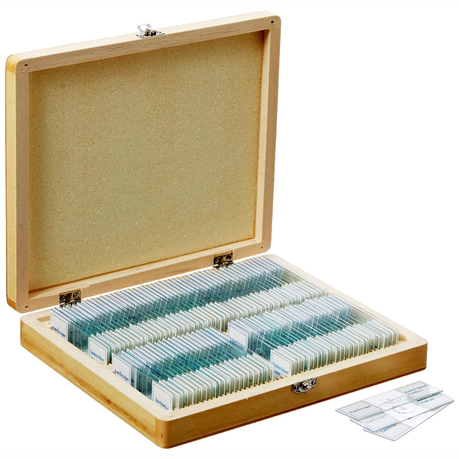 PS100A Prepared Microscope Slide Set, 100 Slides Set A | 100 Prepared Glass Slides for Basic Biological Science