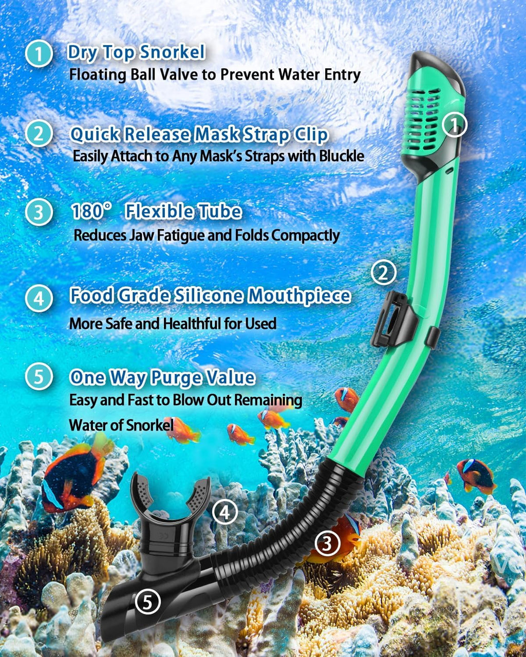 Snorkeling Gear for Adults, Adult Snorkel Set with Panoramic Anti-Leak and Anti-Fog Tempered Glass Snorkel Mask, Dry