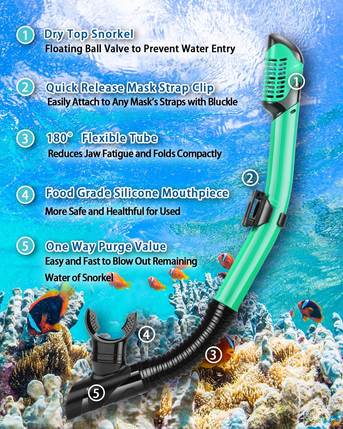 Snorkeling Gear for Adults, Adult Snorkel Set with Panoramic Anti-Leak and Anti-Fog Tempered Glass Snorkel Mask, Dry