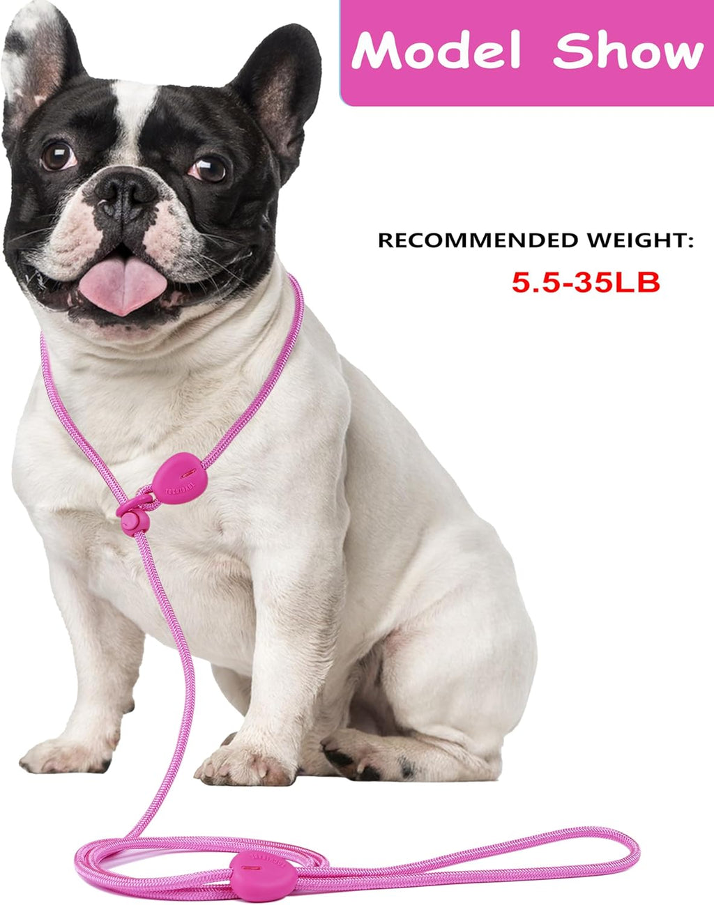 6FT Dog Training Leash - Slip Lead for Small & Medium Dogs - Strong, Lightweight, No Pull - Comfortable Loop (D-Pink