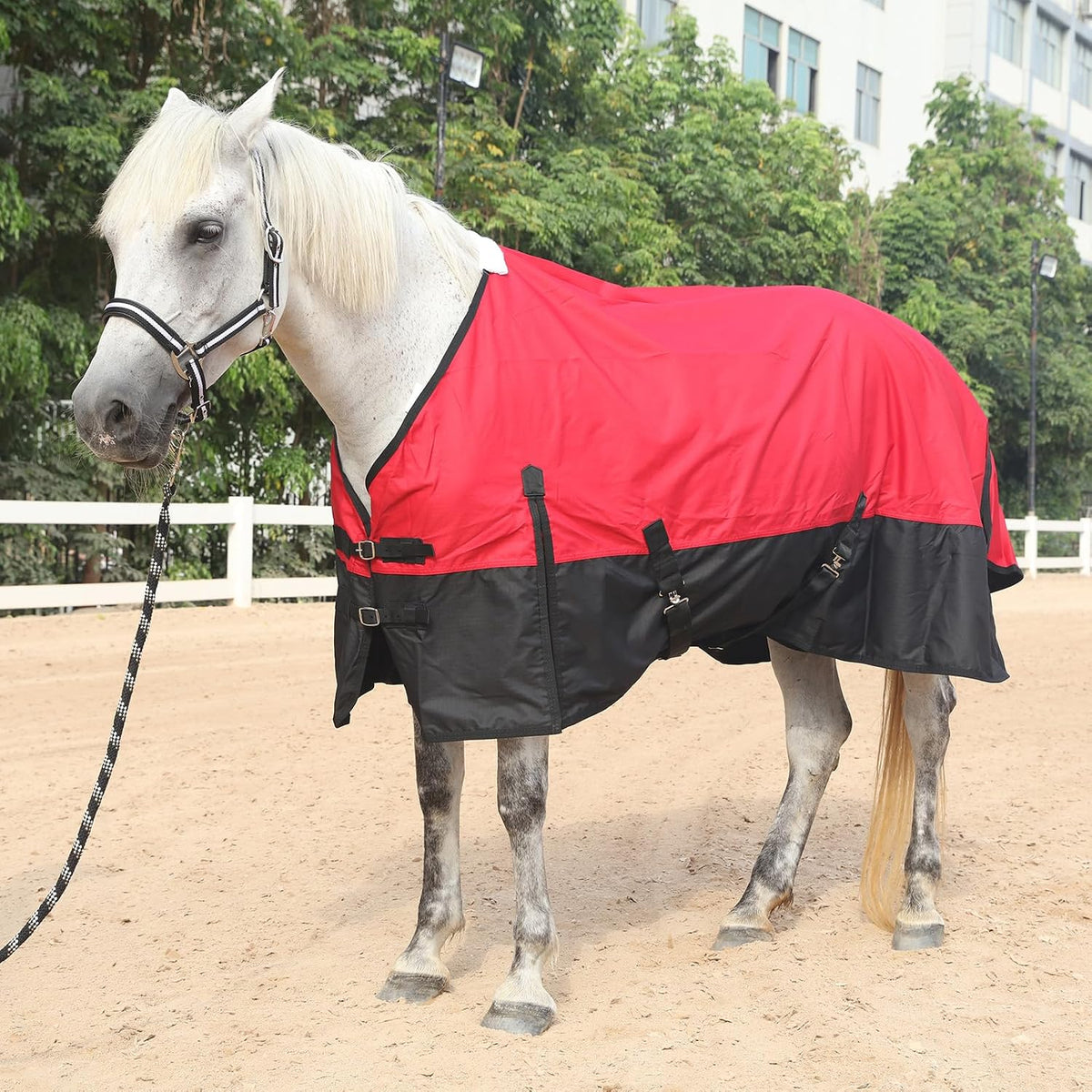 600D Horse Blanket, 0g No-Fill Waterproof Turnout Rain Sheet