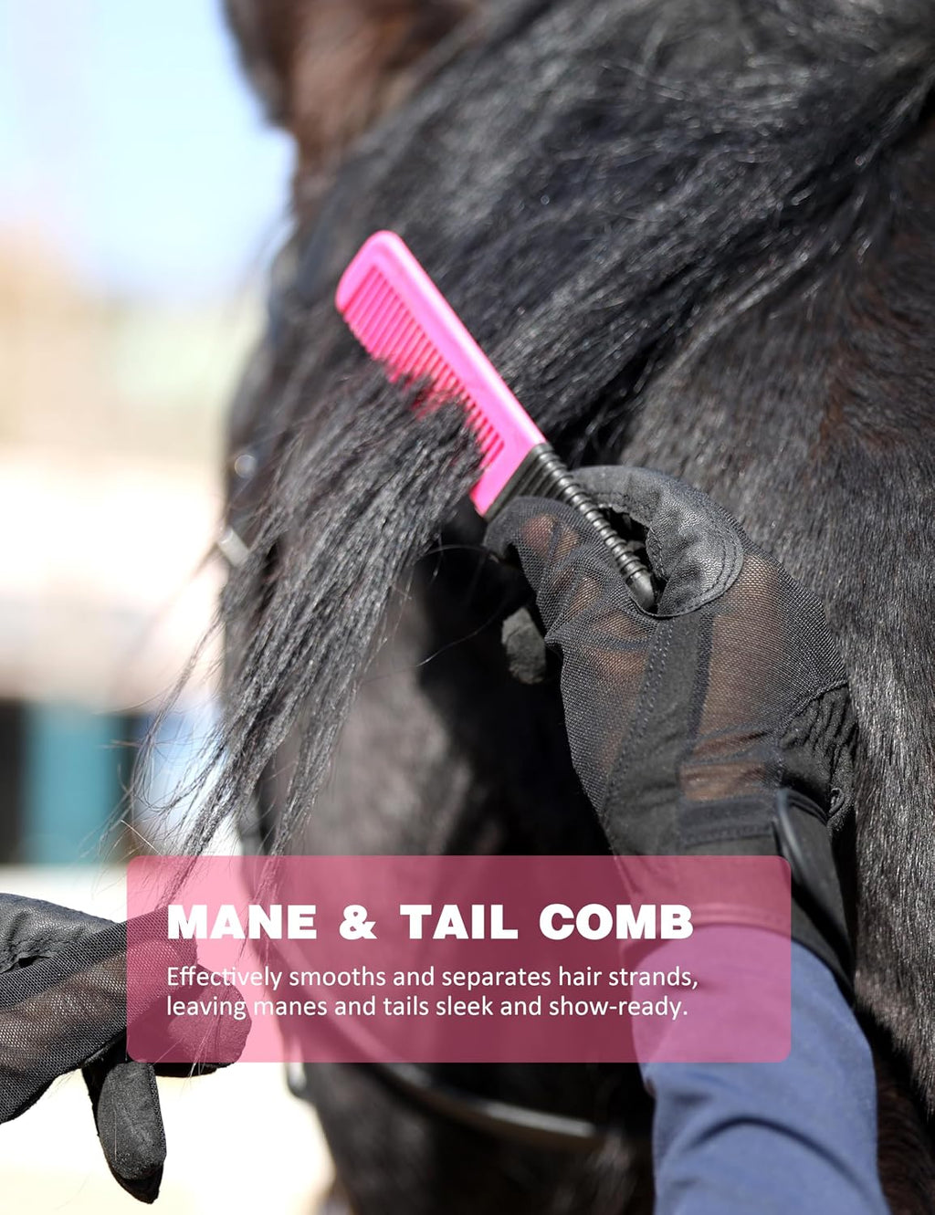 8-piece Horse Grooming Kit, Complete Horse Brush Set