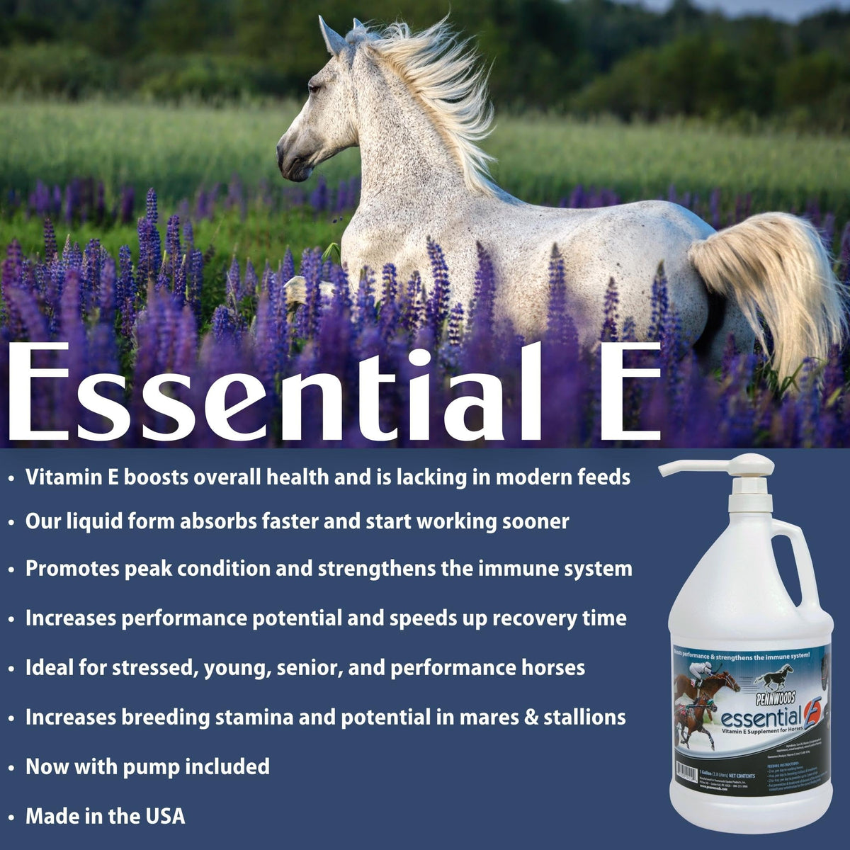 Essential E: Equine Vitamin E Horse Supplement, 1 Gallon