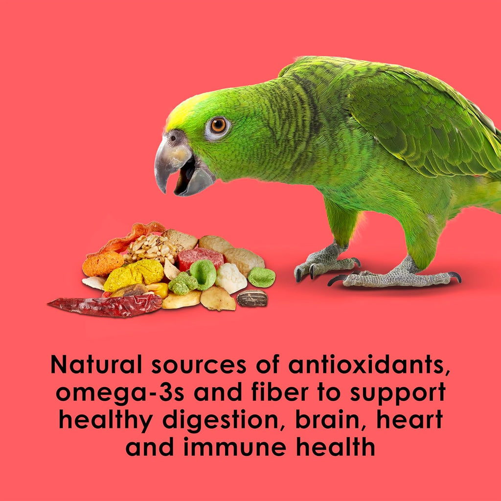 Fiesta Parrot Food for Large Birds, 4.5 Pounds | Fun feeding. Bird food with fruits, veggies, grains. Bird seeds
