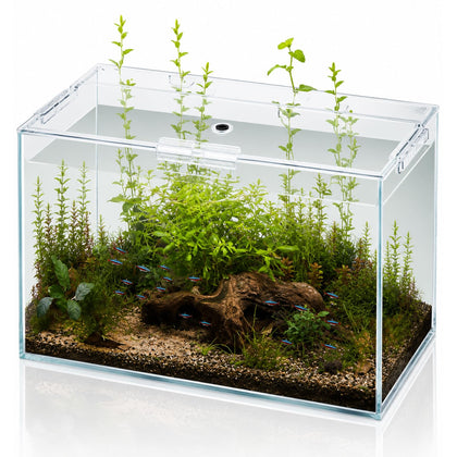 10 Gallon Glass Fish Tank Open-Back Lid, Aquarium Fish Bowl Cube for Betta Goldfish Snails Shrimp Aquatic Planting