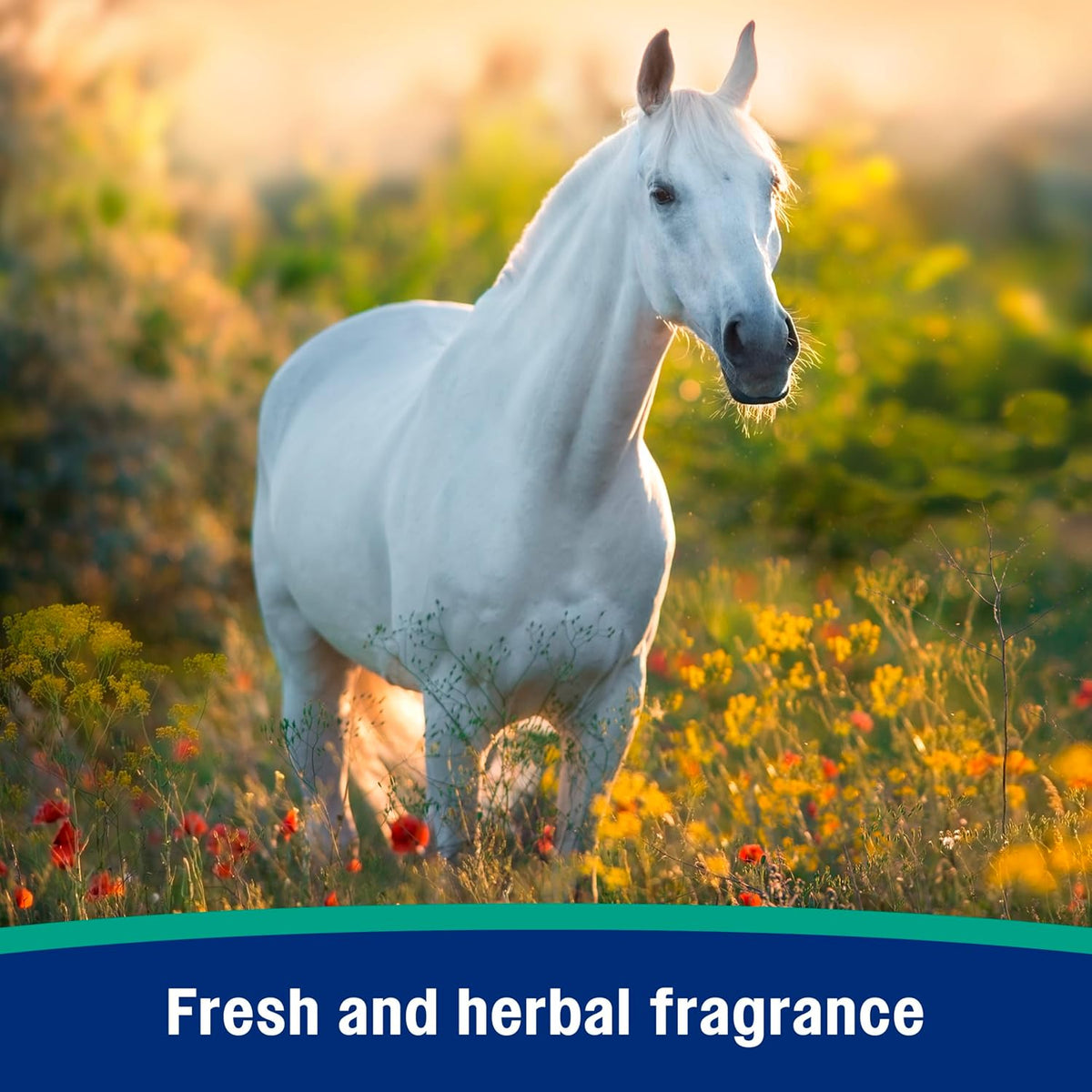 Nature’s Defense Botanical Fly Repellent Spray for Horses, 32 oz
