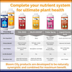 pH Up & Down Control Kit for Optimal Nutrient Uptake, 1 Quart | Helps Avoid Nutrient Lockout