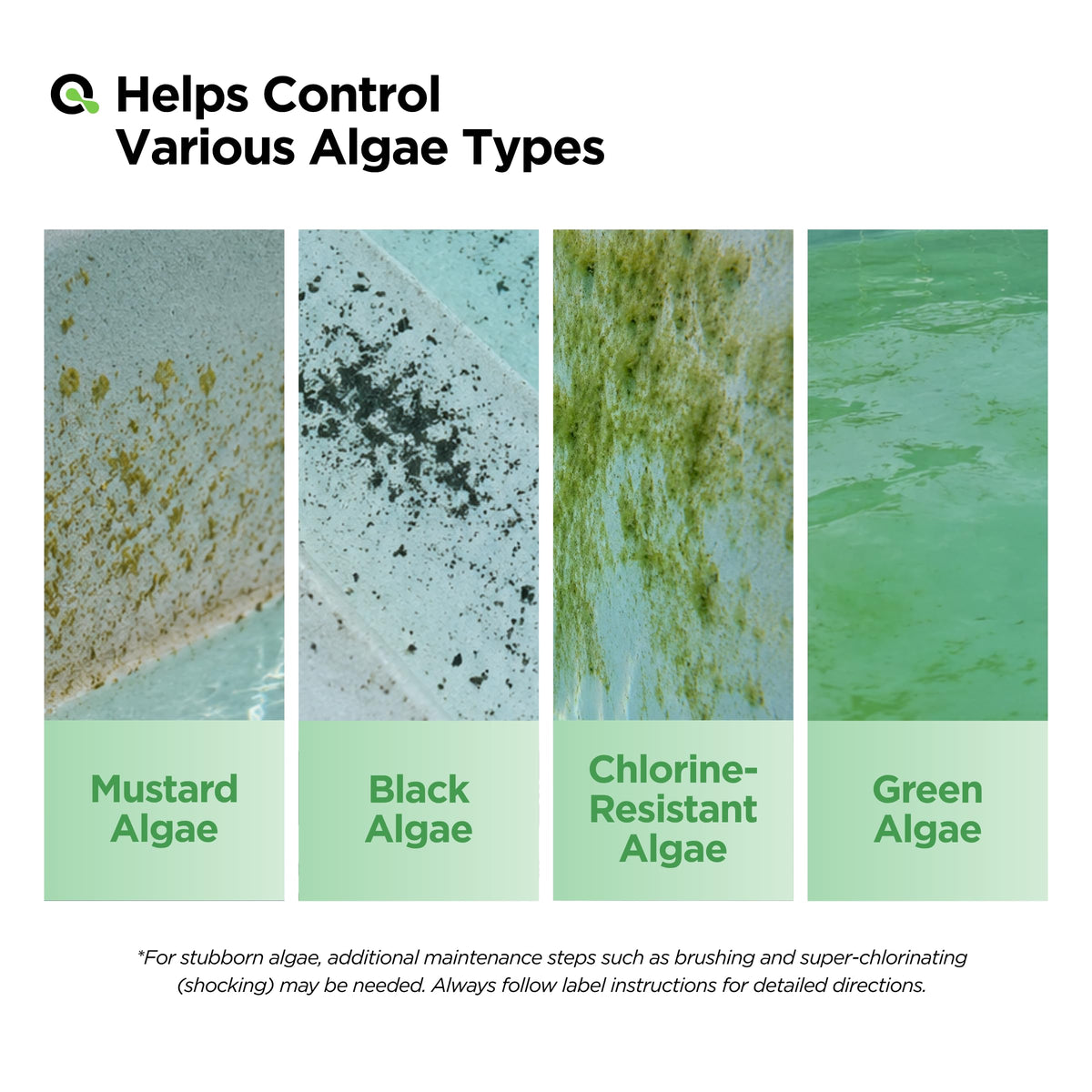 AquaDoc Liquid Algaecide for Swimming Pools 32 oz - Up to 2,500 Gallons