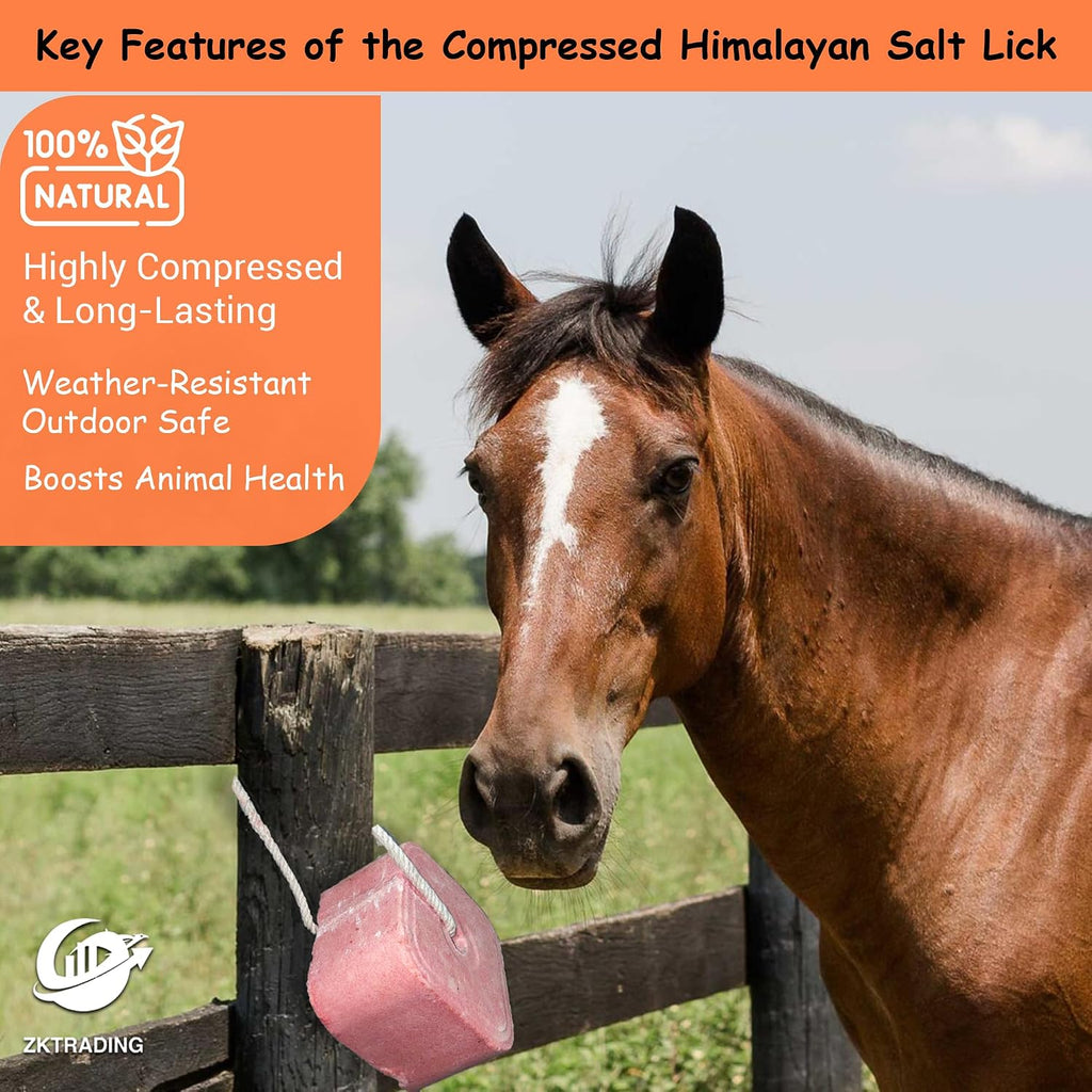 Pack of 4 Compressed 7-8 Lbs Himalayan Salt Licks for Horse Deer