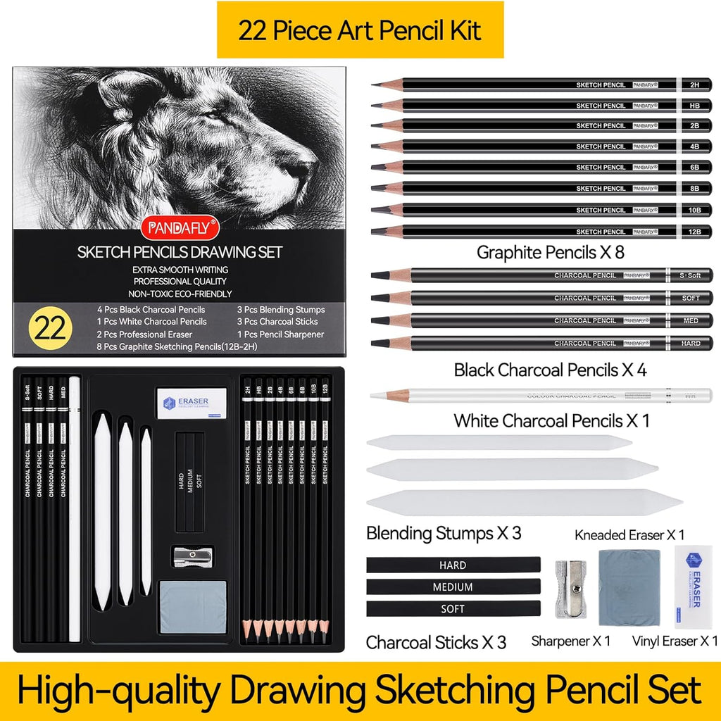 Drawing Sketching Pencil Set, 22 Piece Pro Art Pencil Kit - Graphite Pencils (12B-2H), Black and White Charcoal