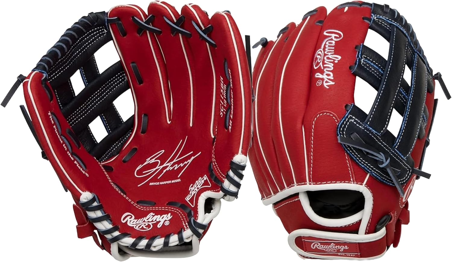 Sure Catch Baseball & Softball Glove | T-Ball, Youth & Adult Rec Models | Multiple Sizes & Styles