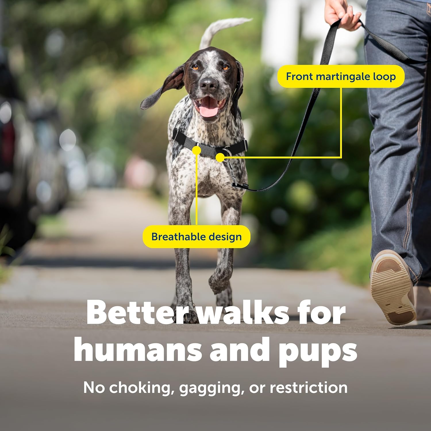 Easy Walk No-Pull Dog Harness - Ultimate Harness to Help Stop Pulling - Pull-Free Walks - Take Control & Teach Better