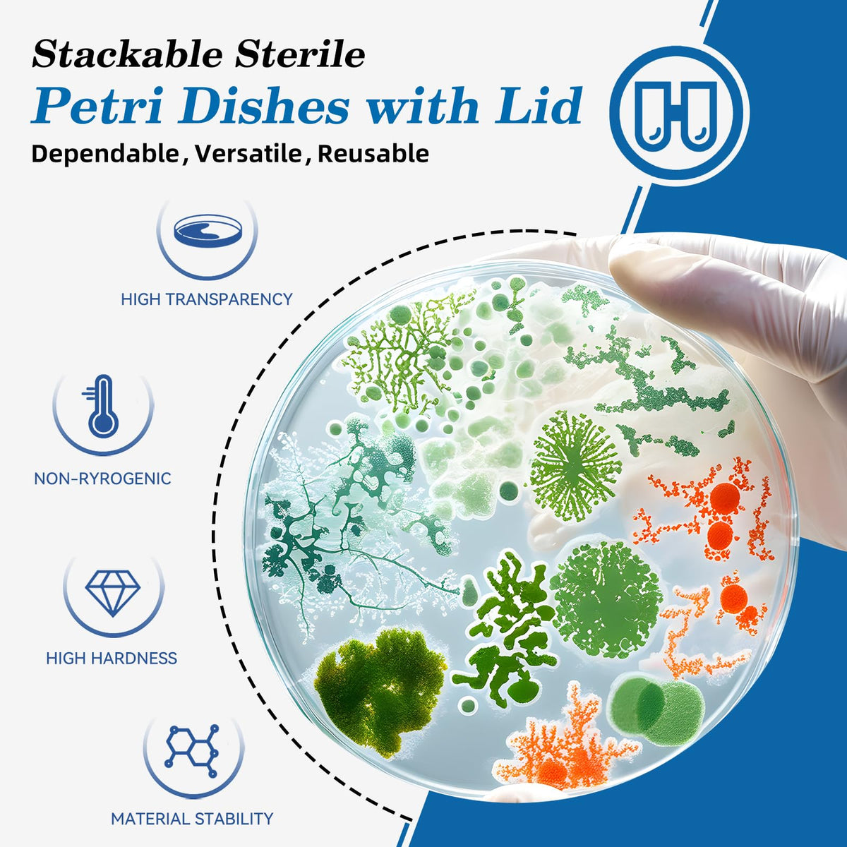 10pcs 90mm Glass Sterile Petri Dishes with Lids