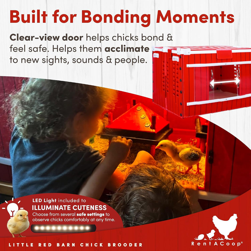 Little Red Barn Chick Brooder