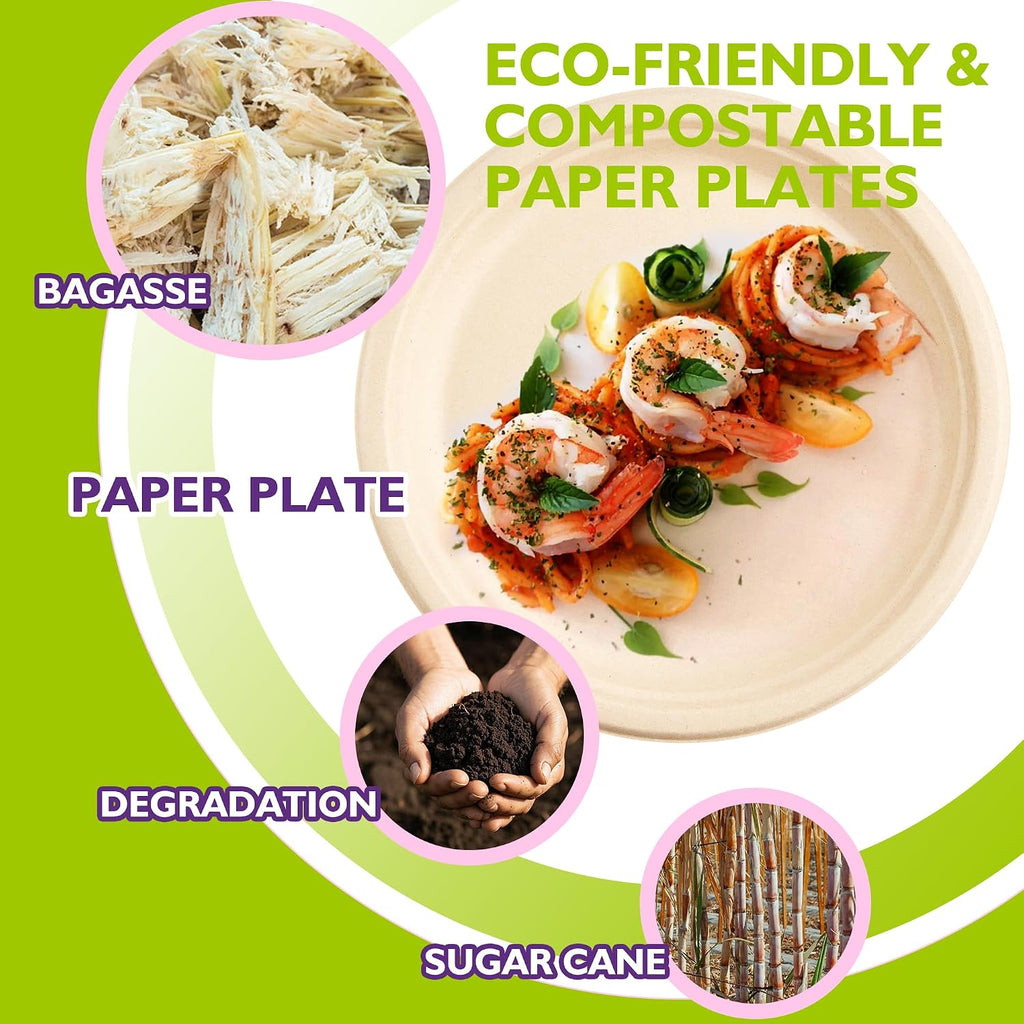 9 Inch Compostable Paper Plates 125 Pack