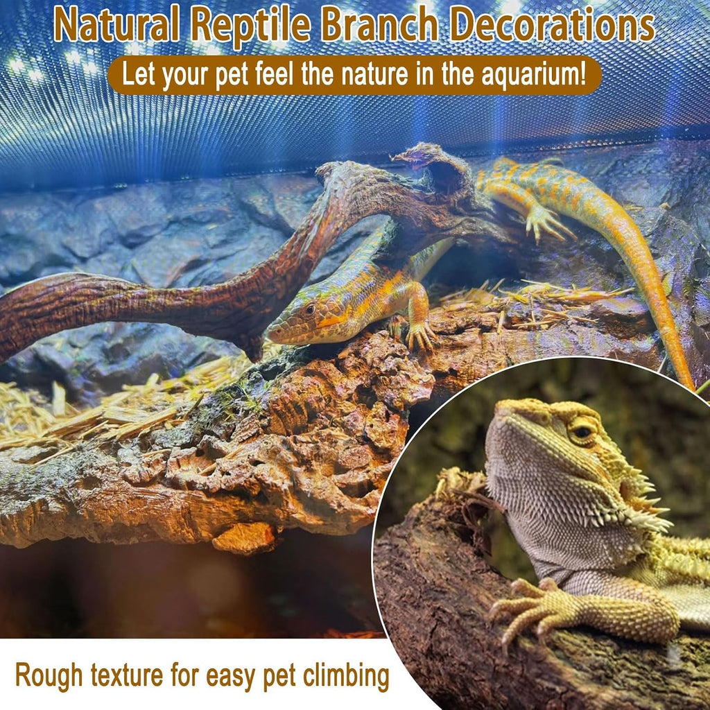 Reptile Decor 3PCS Natural Forest Branch Terrarium Habitat Decoration Lizard Climbing Tree Branch for Bearded Dragon