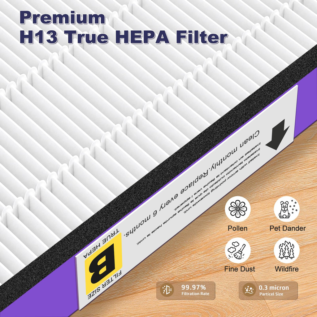 FLT4850PT H13 True HEPA Filter B Replacement, 2-Pack