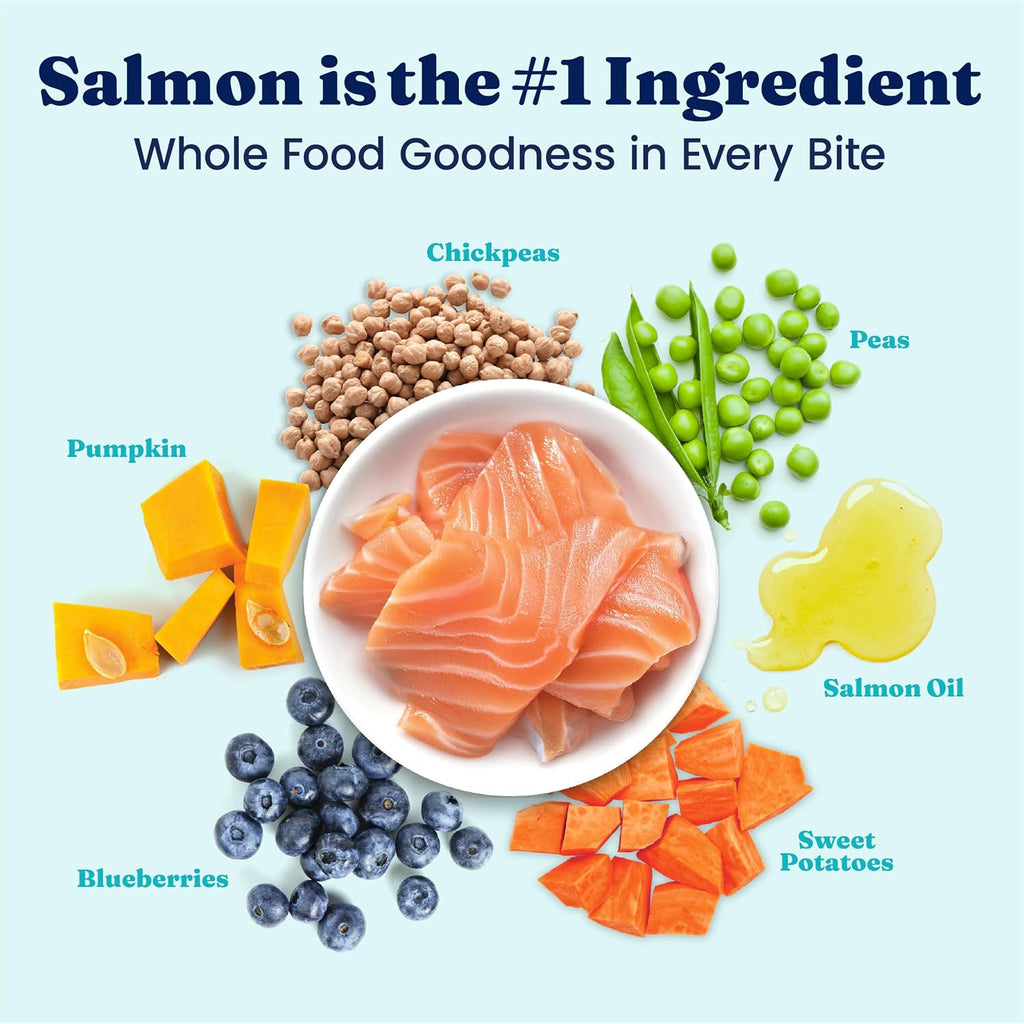 Salmon Dry Dog Food for Sensitive Stomach, Grain Free, 3.75LB