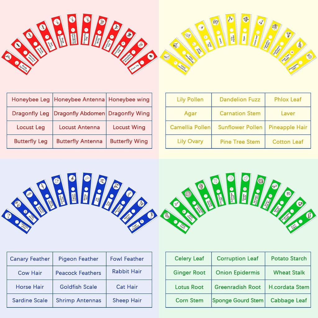 120 Pcs Prepared Microscope Slides, 48 Different Patterns Animals Plants Insects Specimens for Kids, Students Biology