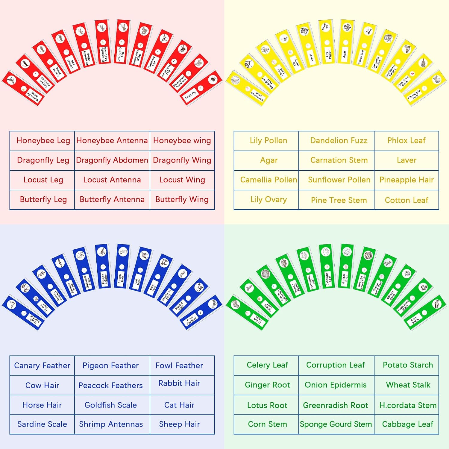 120 Pcs Prepared Microscope Slides, 48 Different Patterns Animals Plants Insects Specimens for Kids, Students Biology