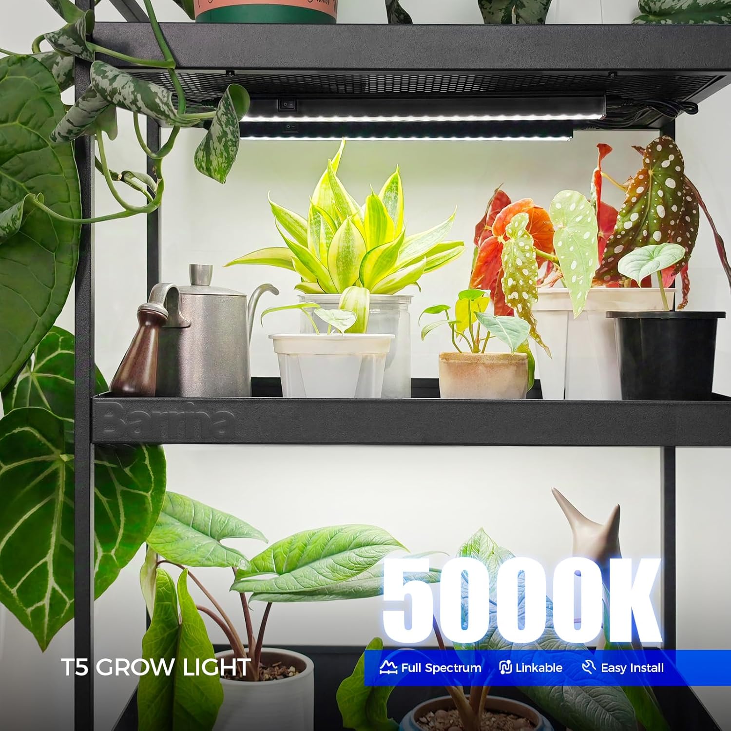T5 Grow Lights, 5000K Full Spectrum Daylight White, 1FT, 8 Packs | LED Grow Light Strips, Plant Growing Lamp with
