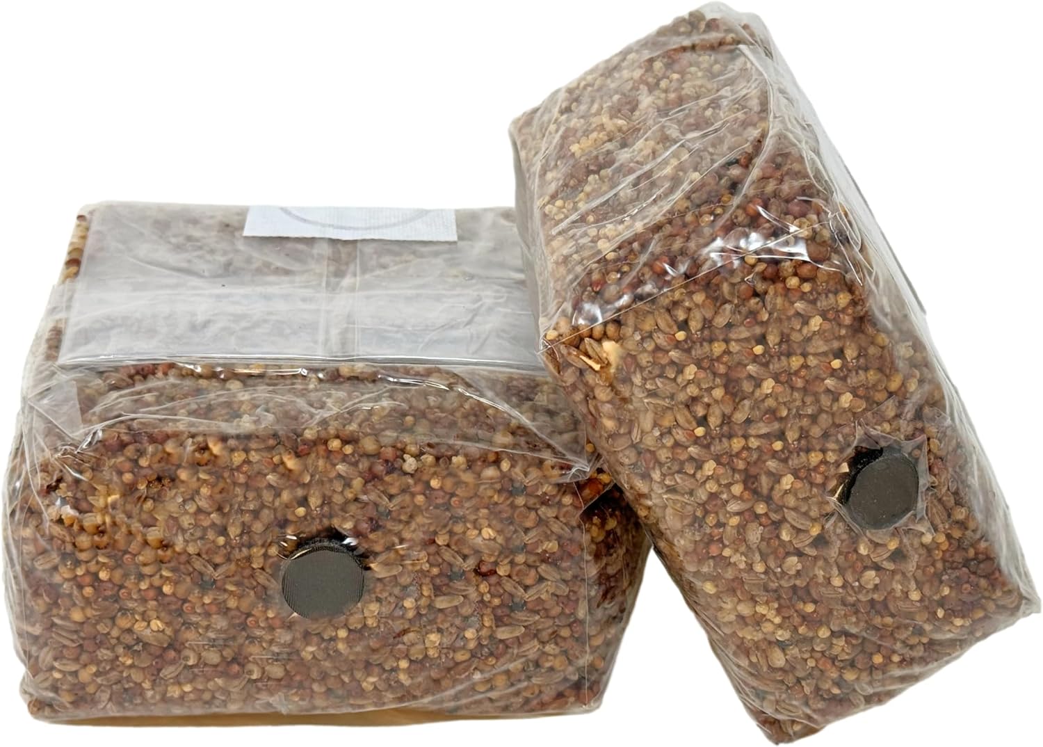 Premium 5-Grain Mushroom Spawn Bags | Sterilized Grain Spawn | Injection Ports | 2 Quarts Each Bag | 2 Bags per Box