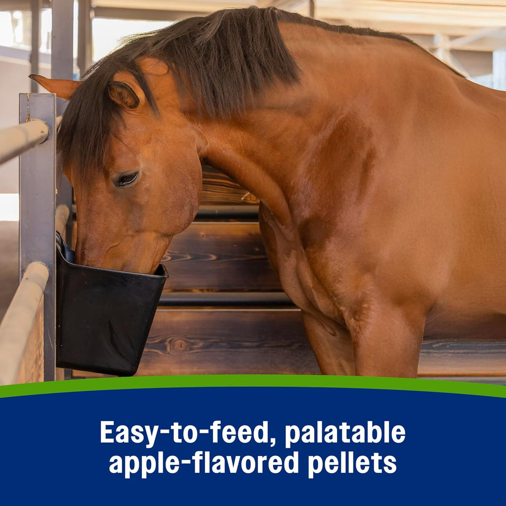 Apple Elite Horse Electrolytes Pellets Supplement, 40 Day Supply