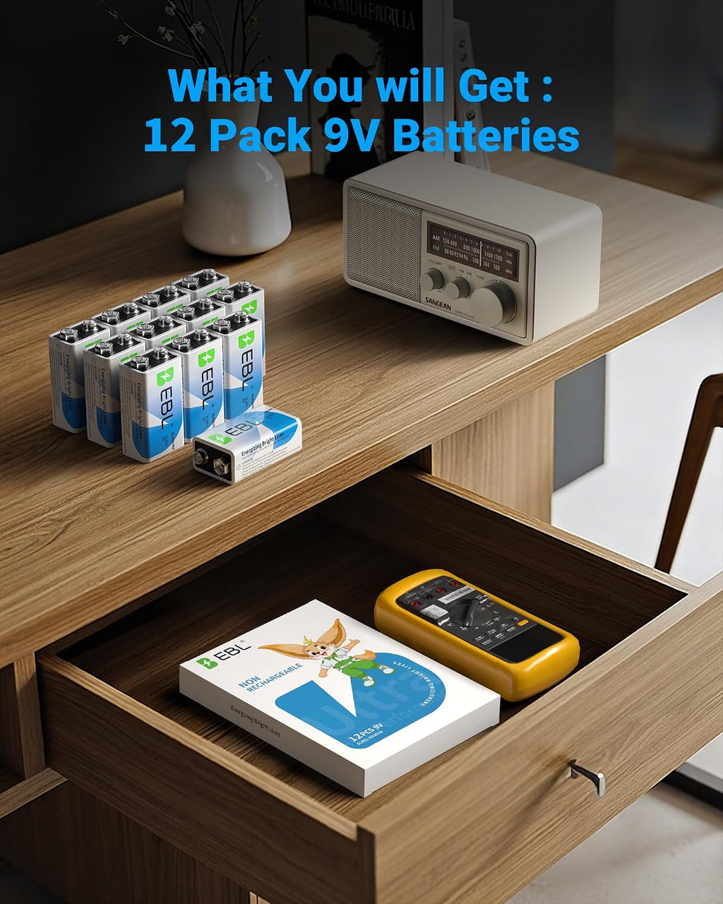 9 Volt Batteries 12 Pack, 7-Year Shelf Life, Long-Lasting Alkaline | Square Batteries 6LR61,for Smoke Alarms, Guitar
