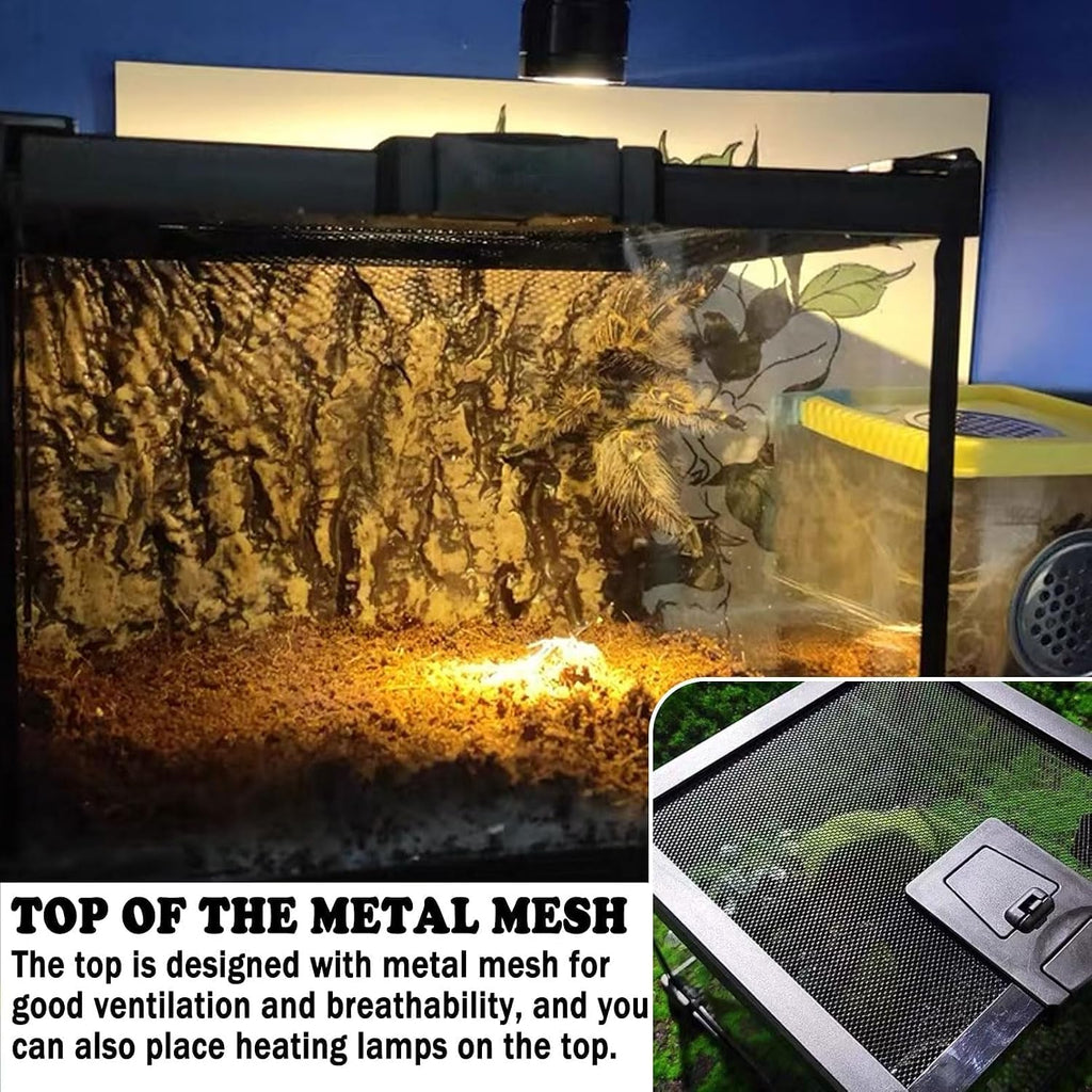 Mini Reptile Glass Terrarium Tank,8"x8"x6" Small Reptile Enclosure Cage | Full View Geckos Enclosure Tank Habitat