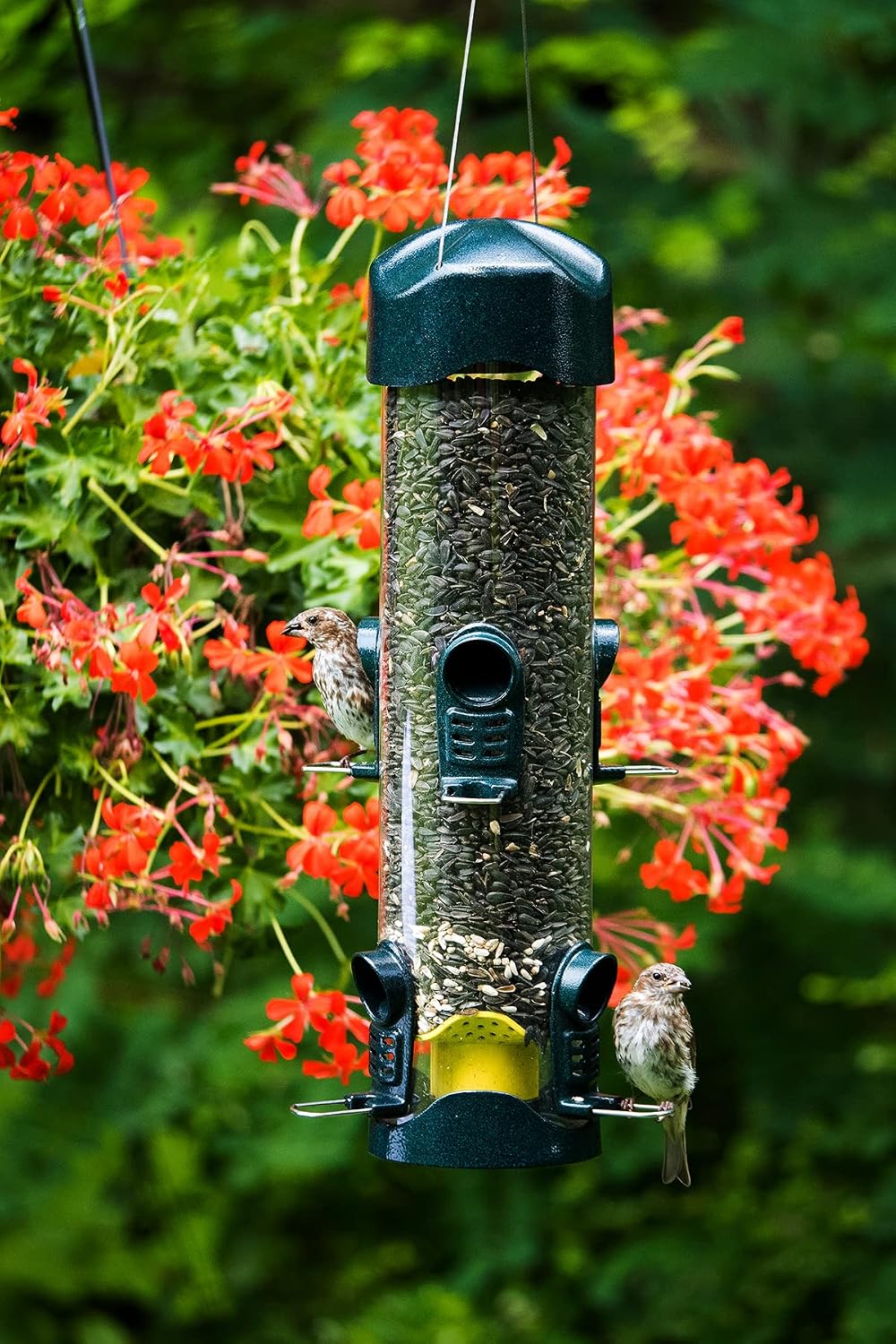 Mega 600 Bird Feeder – Large Capacity Tube Feeder for Wild Birds, 6 Feeding Ports, 4 lb Seed Capacity, Easy to Clean
